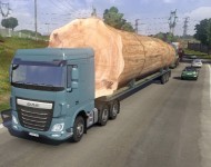 Прицеп с баобабом thumbnail 2