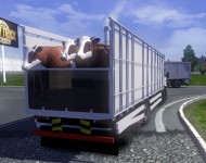 Mitsubishi Fuso thumbnail 4